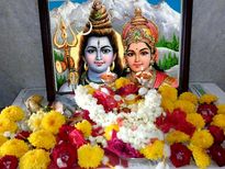 శివుడిని పూజించే ప్రతి పువ్వుకు ఒక అర్ధం మరియు ప్రయోజనం ఉంటుంది: ఈ పువ్వులతో మీ కోరికలు తీరుతాయి