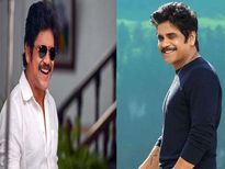 60లోనూ 20లాగా కనిపించే నవ మన్మథుడు నాగార్జున గురించి మనం నమ్మలేని నిజాలు...