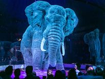 World Elephant day 2021 : ఏనుగుల సంరక్షణ మనందరి బాధ్యత...