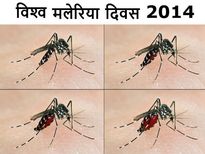  विश्‍व मलेरिया दिवस: मलेरिया के लक्षण 