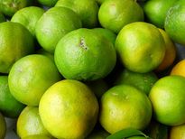 वजन घटाने के लिये पीजिये मौसंबी का जूस 