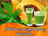  पपीते के पत्‍ते का जूस पी कर दूर करें हर रोग 