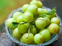  ठंडी बहुत लगती है? तो आयन युक्‍त आहार है इसका जवाब 