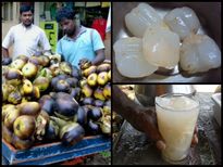 गर्मियों में खाइये ताड़गोले का फल, शरीर को जाएगा एकदम ठंडा 