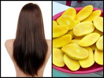 बालों में लगा कर देंखे आम और पाएं ये 10 फायदे 