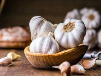 कान के इन्फेक्शन से तुरंत राहत पाने के लिए काफी डालें लहसुन के रस की सिर्फ दो बूंद