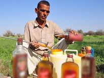 ज‍ानिए, राजस्‍थान के शेखावटी में किसान क्‍यों कर रहे है शराब से खेती? 