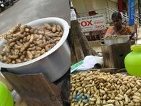 मूंगफली खाने से कैंसर के साथ साथ नहीं होती है इतनी समस्याएं