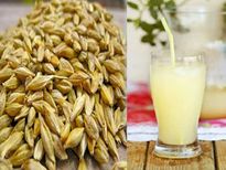  मक्‍खन की तरह पिघलानी है चर्बी तो रोज़ सुबह पिएं जौ का पानी 