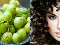  घने बालों के लिए खाएं ये आहार और देंखे असर 
