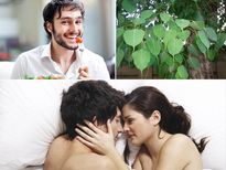 सेक्स समस्या से भूख तक, हर एक समस्या का समाधान है पीपल का पेड़