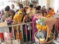 महाशिवरात्रि 2019: इन चीजों से होते है शिवजी क्रोधित, पूजा में नहीं करें इनका प्रयोग