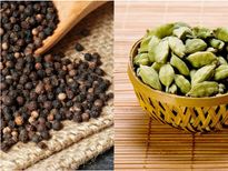 इलायची और काली मिर्च की फांकी मारने से भी कम होता है वजन, जाने कैसे करे सेवन 