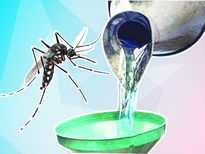 केरोसीन के इस सस्‍ते उपाय से दूर रहेंगे मलेरिया फैलाने वाले मच्‍छर, जानें क्‍या करें?  