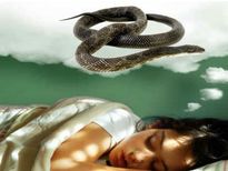 रात को सपने में सांप ने डस ल‍िया, सेक्‍स लाइफ से तार जुड़े होते है सपने में सांप को देखना 