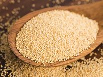सर्दियों में जरुर खाएं खसखस, मिलेंगे कई फायदे 