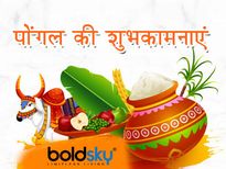 Happy Pongal 2022: पोंगल मना रहे दोस्तों को दें बधाई, भेजें ये खूबसूरत संदेश