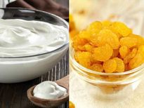 स्लिम और फिट रहने के ल‍िए करें दही-किशमिश का सेवन, चौंका देंगे इसके फायदे 
