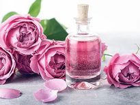 गर्मियों में बालों में नई जान डालने के लिए इस्तेमाल करें गुलाब जल के ये DIY हेयर मास्क