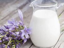 World Milk Day: स्किन केयर रूटीन में शामिल करें दूध, मुलायम और चमकदार त्वचा के लिए कच्चा दूध है बेस्ट 