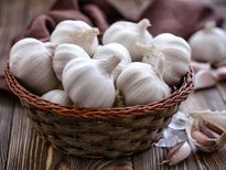 काम की बात:  अच्‍छा और फ्रेश लहुसन खरीदते समय क‍िन बातों का रखना चाह‍िए ध्‍यान, जानें टिप्‍स 