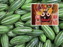 हर साल भगवान जगन्‍नाथ परवल का जूस पीकर स्‍ट्रॉन्‍ग करते है इम्‍यून‍िटी, जानें इस जूस को पीने के फायदे 