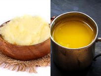 Cow Ghee vs Buffalo Ghee : गाय या भैंस का घी: जानें न्‍यूट्रिशियन वैल्‍यू और क‍िसे कौनसा घी खाना चाह‍िए 