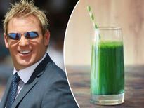 शेप में आने के ल‍िए 14 दिन के  'Liquid Diet' पर थे शेन वॉर्न, जानिए कैसे ये बॉडी नुकसान पहुंचाता है 