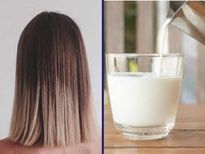 DIY: दूध से अपने बालों को घर बैठे करें पार्लर जैसा स्‍ट्रेट, ये है स्‍टेप्‍स
