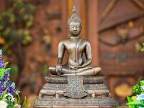 Feng Shui Tips: नए साल पर घर में सुख-समृद्धि लाने के लिए रखें ये चीजें