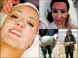 Most Disgusting Yet Expensive Things Around The World
