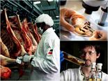 List Of The Most Disgusting Jobs