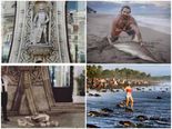 List Of Animals And Objects Harmed For The Sake Of Selfies