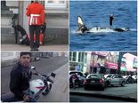 OMG Moments Caught By Tourists!