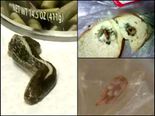 Ewww! List Of Gross Things Found In Food