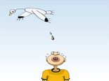 Superstitious Beliefs Around The World