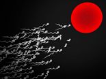 Why A Million Sperm Cells Are Released During Every Ejaculation?