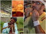 List Of Animals That Are Eaten Alive