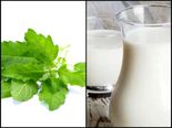Tulsi Vivah 2019: Health Benefits Of Tulsi (Basil) And Milk 