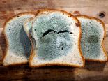 7 Signs It's Better To Throw The Food 