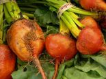 Try These Amazing Foods To Improve Your Focus And Memory