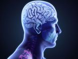 Avoid These Common Foods If You Want A Healthy Brain! 