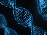 Do Plant Based Foods Boost DNA Repair
