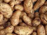 Healthy Way To Store Potatoes 