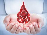 7 Herbs And Spices That Can Prevent Blood Clots
