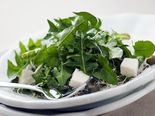 Top 7 Health Benefits Of Dandelion Root