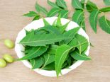 Top 10 Benefits Of Neem Powder For Our Health