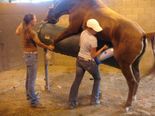 After Seeing This, Never Complain About Your Job!