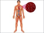 These Common Foods Can Improve Blood Circulation In A Month! 