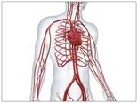 Effects Of Poor Blood Circulation